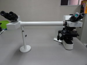 1224・オリンパス/BX-51TF/光学顕微鏡/対物レンズ：x10 x20 x40 x100