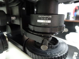 1224・オリンパス/BX-51TF/光学顕微鏡/対物レンズ：x10 x20 x40 x100